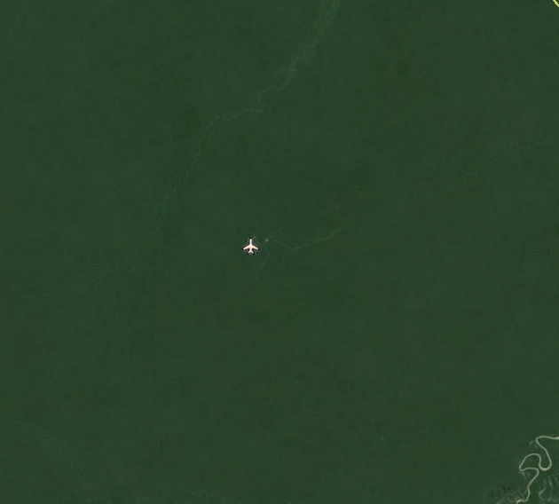 Amazon Jungle Before Humans